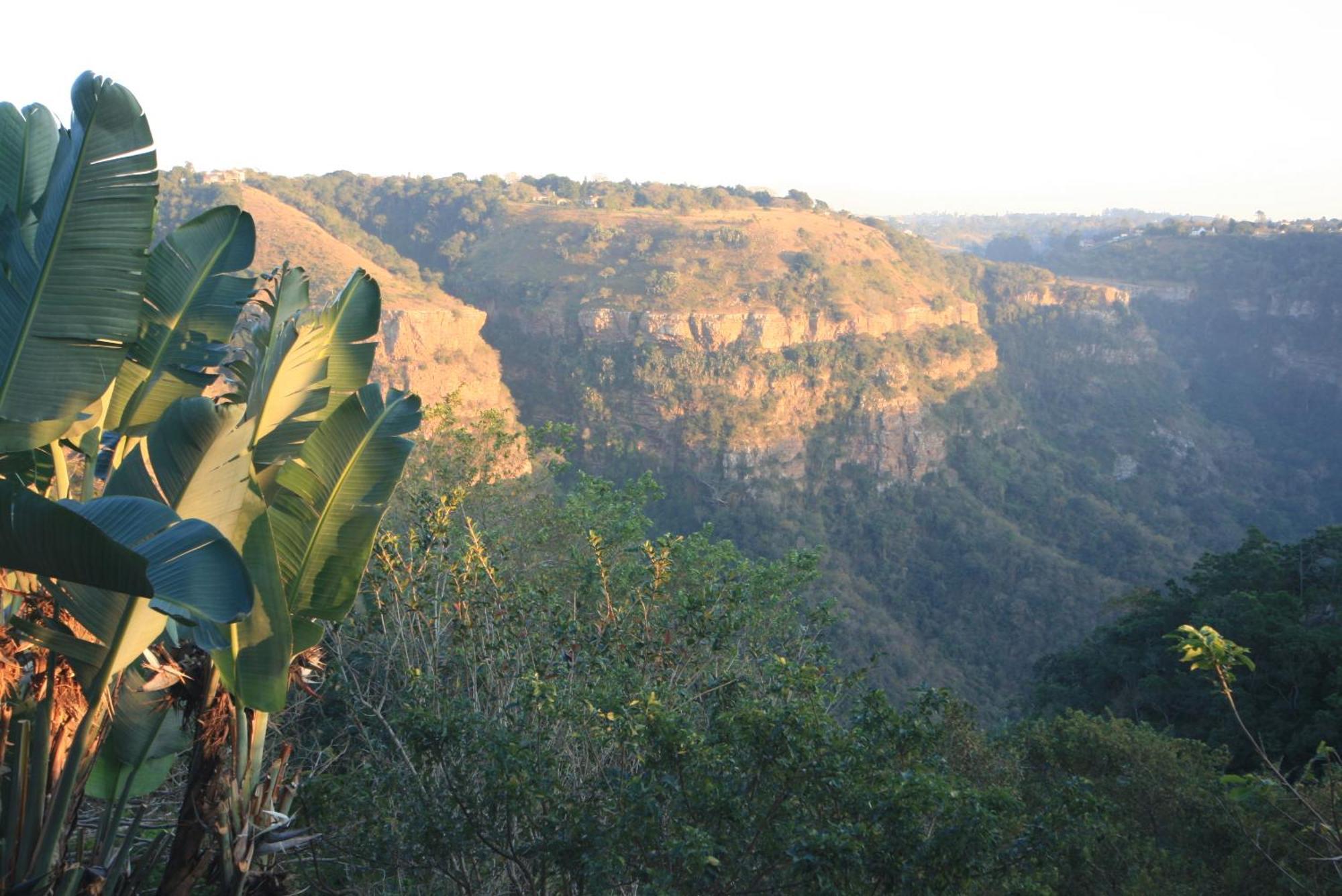 Ammazulu African Palace Kloof Luaran gambar