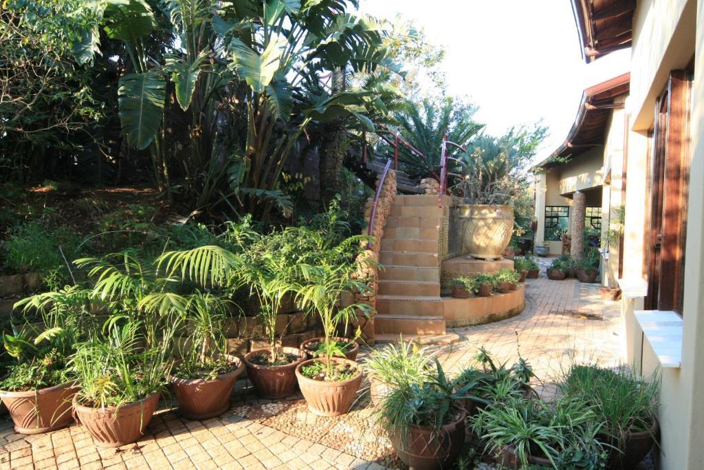 Ammazulu African Palace Kloof Bilik gambar